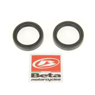 024.34.668.00.00 Gabeldichtringe  Beta RR 50 / 125 LC 4T  2013-2020